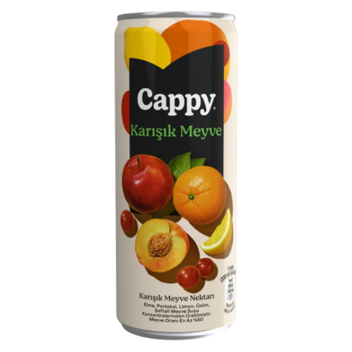 CAPPY KARIŞIK MEYVE SUYU
